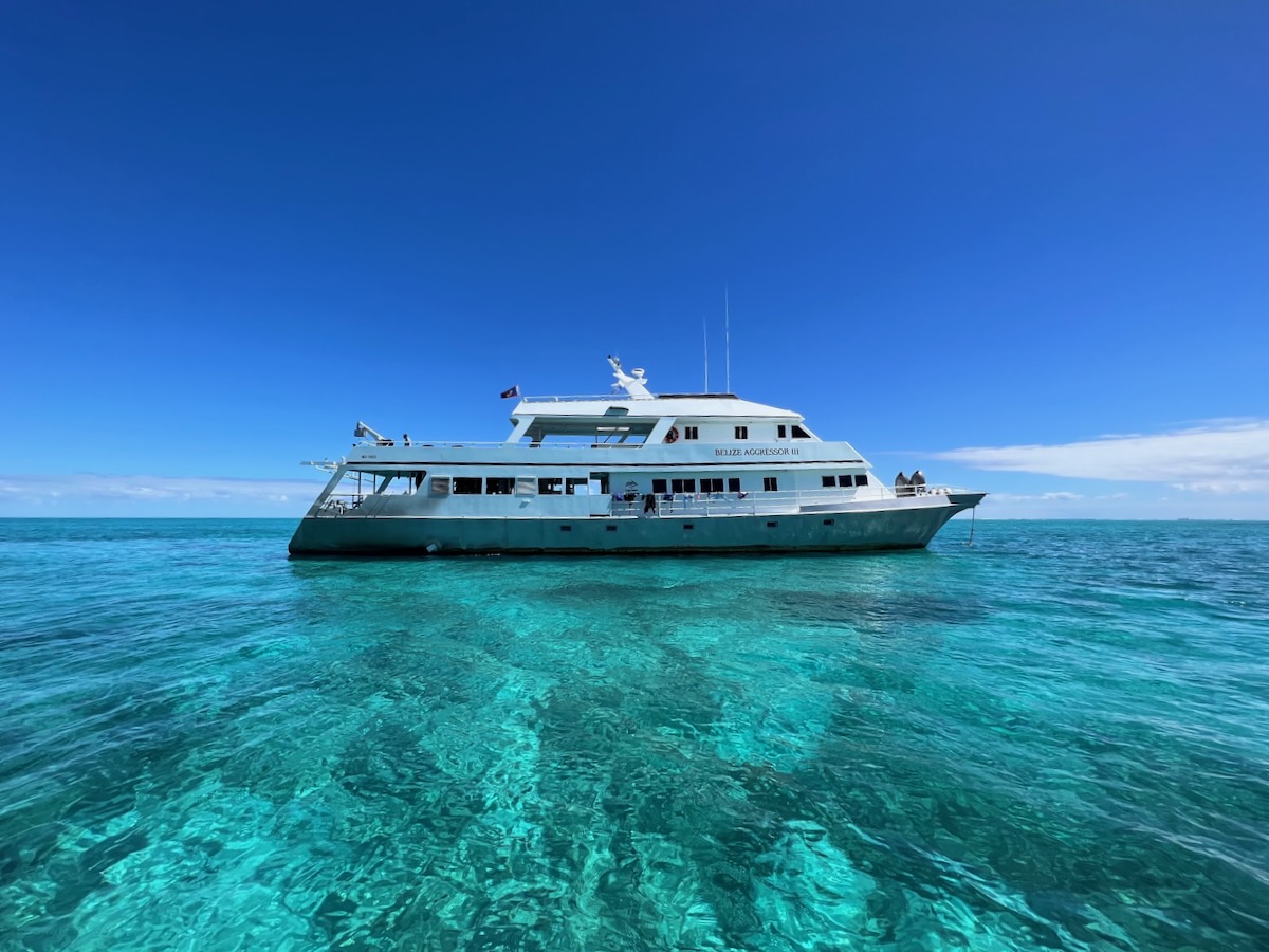Dive Trip Report: Belize Aggressor 3