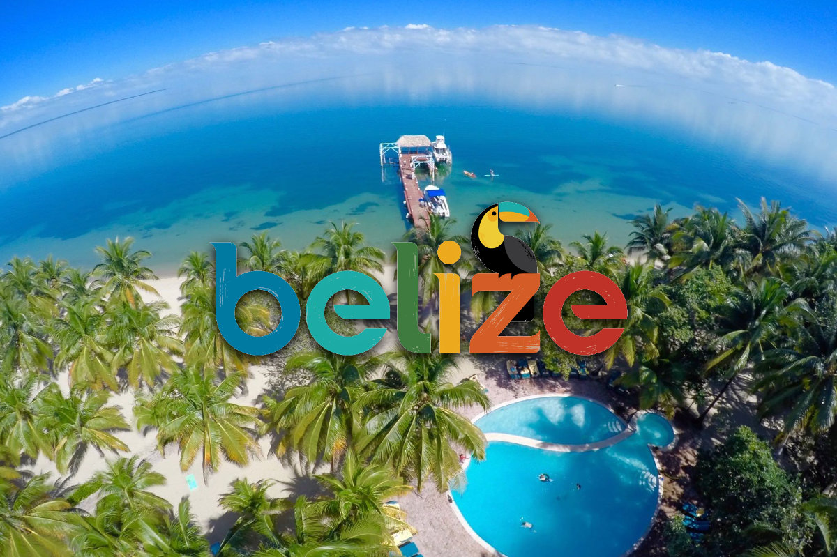 My Dream of a Tropical Life