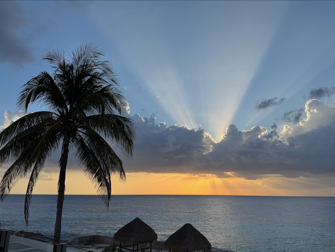 Dive Trip Report: Cozumel