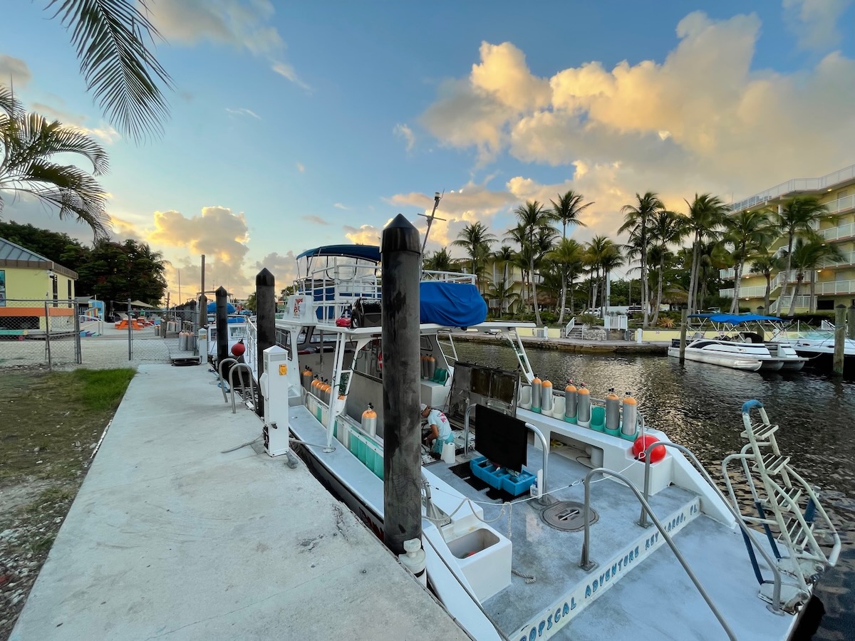 Dive Trip Report: Key Largo