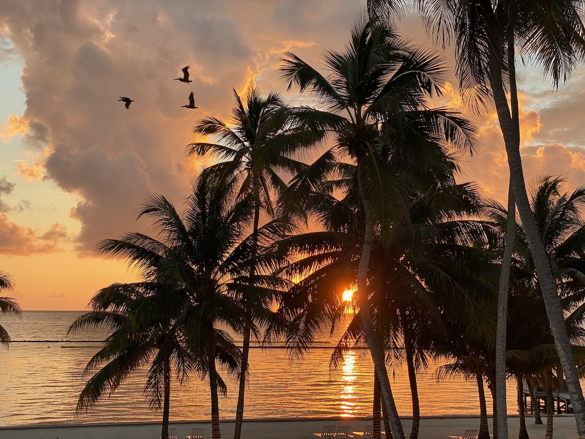 Dive Trip Report — San Pedro local reefs