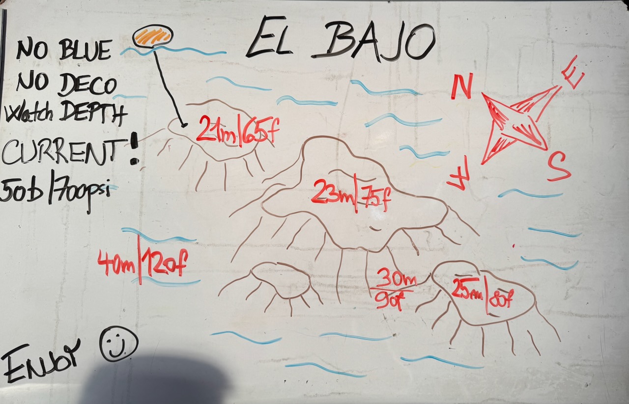 el bajo site map