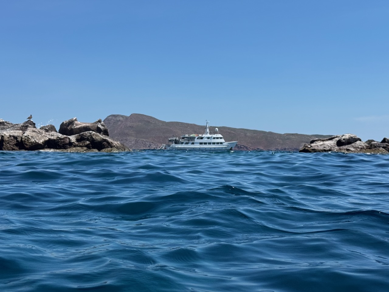 Dive Trip Report: La Paz and Loreto Great Circle