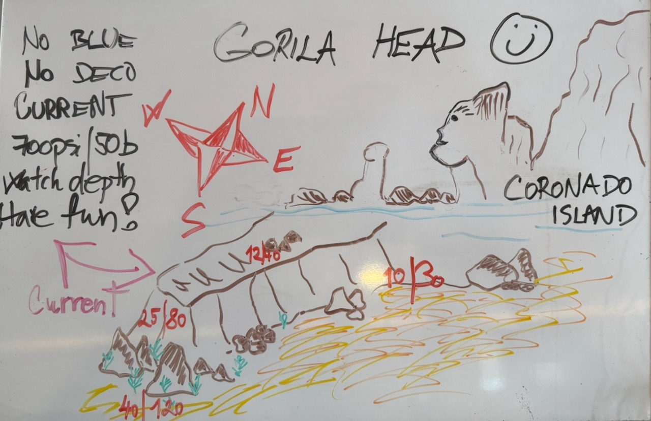 gorilla head site map