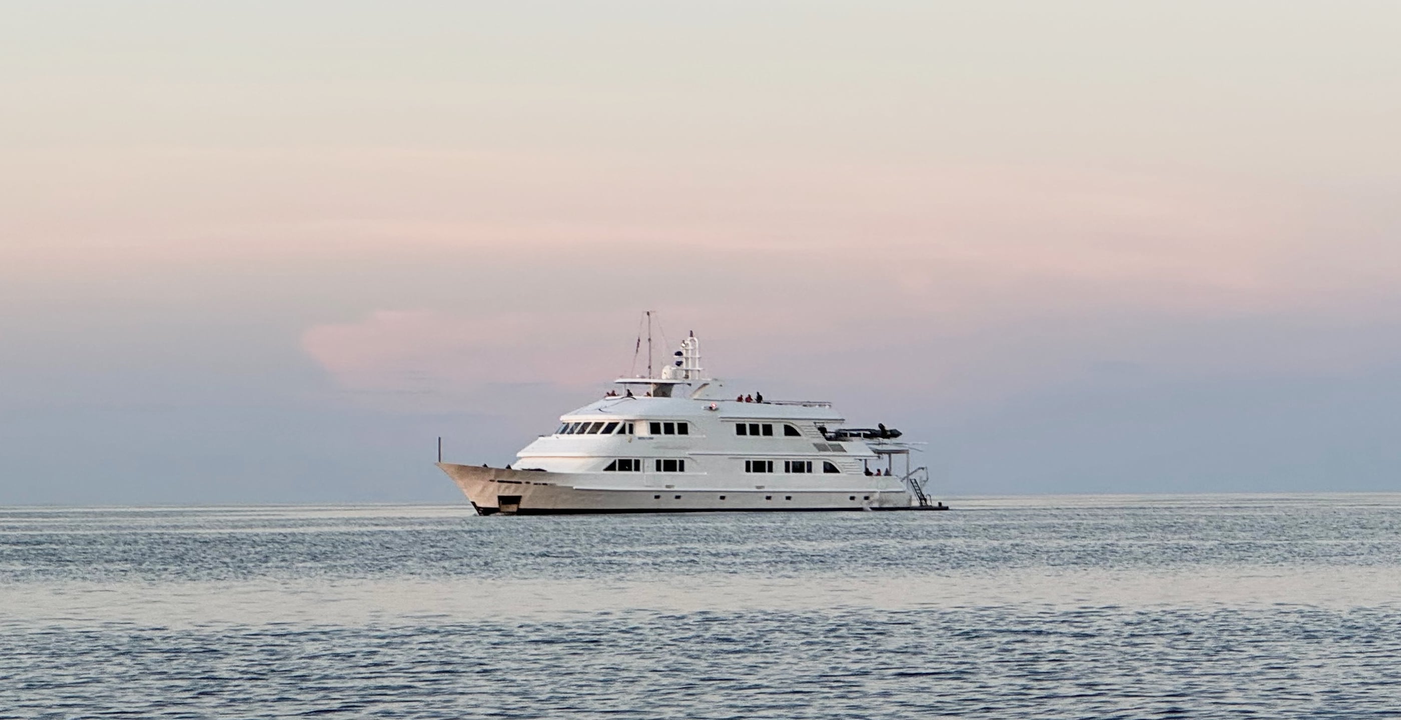 Dive Trip Report: Ultimate Whale Sharks